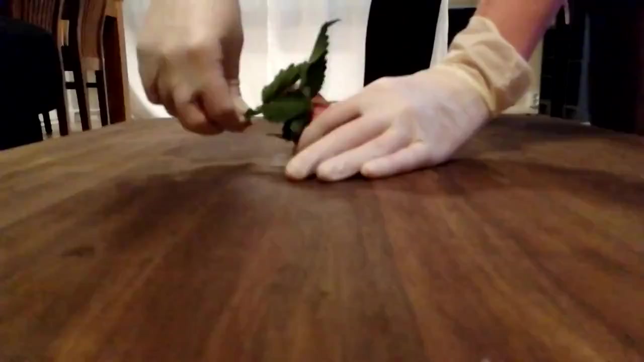 Cruel Cockboard CBT - BdsmVilla.com